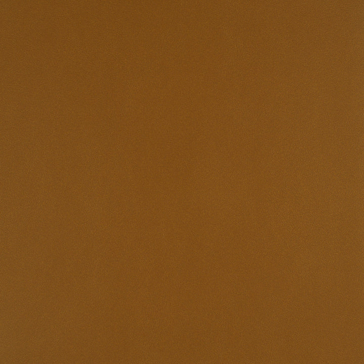 Icon # 729 Butterscotch by Maxwell Fabric Easy Rider Vii FACE: 95% POLYURETHANE/ 5% SILICONE
BACKING: 100% POLYESTER TAIWAN 54" - Fabric Carolina -