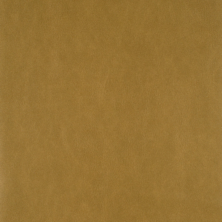 Icon # 731 Fenugreek by Maxwell Fabric EASY RIDER VII FACE: 95% POLYURETHANE 5% SILICONE TAIWAN </p><p>Repeat: Horizontal: and Vertical: 54" - Fabric Carolina -