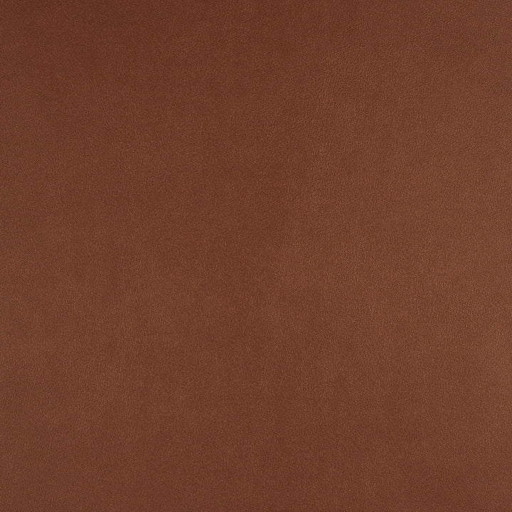Icon # 736 Redwood by Maxwell Fabric Easy Rider Vii FACE: 95% POLYURETHANE/ 5% SILICONE
BACKING: 100% POLYESTER TAIWAN 54" - Fabric Carolina -