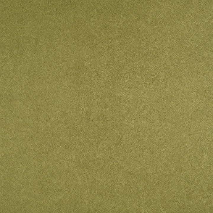 Icon # 741 Spring by Maxwell Fabric Easy Rider Vii FACE: 95% POLYURETHANE/ 5% SILICONE
BACKING: 100% POLYESTER TAIWAN 54" - Fabric Carolina -