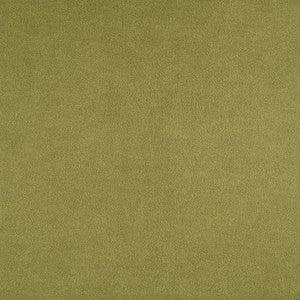 Icon # 741 Spring by Maxwell Fabric