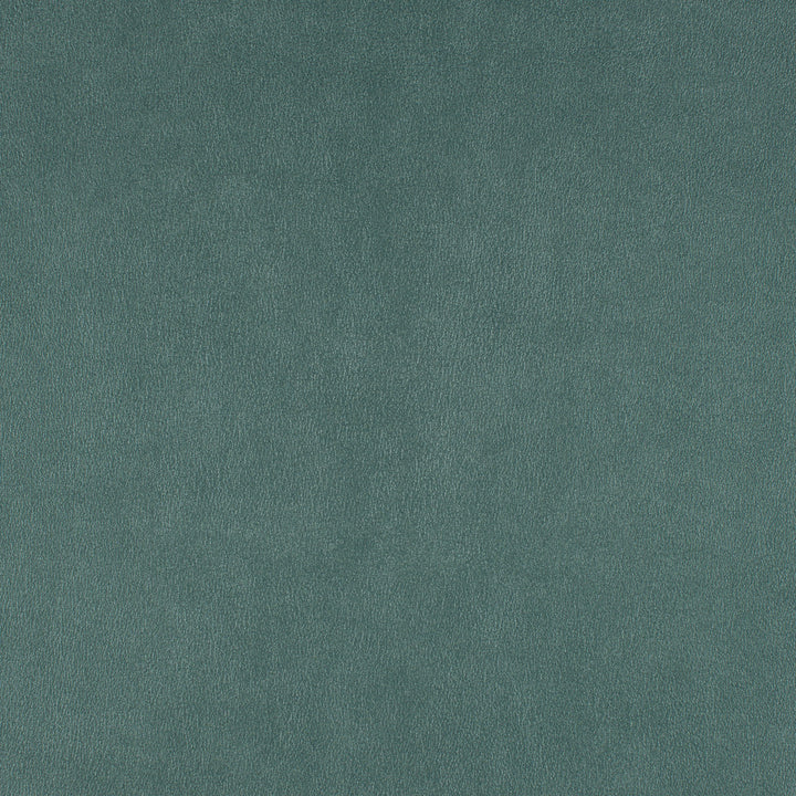 Icon # 748 Shoreline by Maxwell Fabric Easy Rider Vii FACE: 95% POLYURETHANE/ 5% SILICONE
BACKING: 100% POLYESTER TAIWAN 54" - Fabric Carolina -