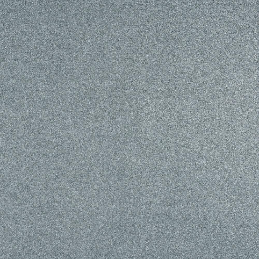 Icon # 752 Skylight by Maxwell Fabric Easy Rider Vii FACE: 95% POLYURETHANE/ 5% SILICONE
BACKING: 100% POLYESTER TAIWAN 54" - Fabric Carolina -