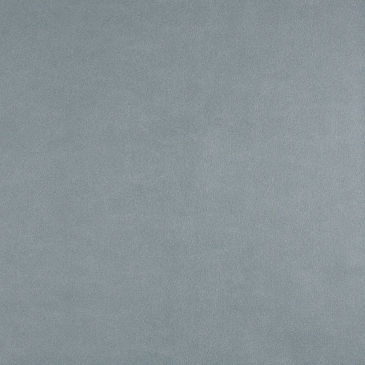 Icon # 752 Skylight by Maxwell Fabric Easy Rider Vii FACE: 95% POLYURETHANE/ 5% SILICONE
BACKING: 100% POLYESTER TAIWAN 54" - Fabric Carolina -