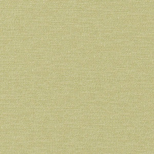 Impasto # 808 Pear by Maxwell Fabric