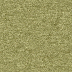 Impasto # 810 Fern by Maxwell Fabric