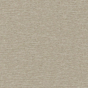 Impasto # 904 Cobblestone by Maxwell Fabric