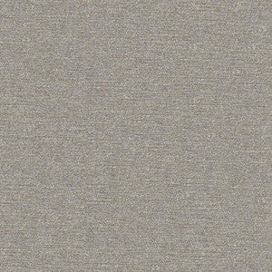 Impasto # 906 Shark by Maxwell Fabric
