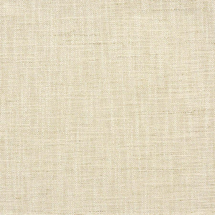Indus # 226 Papyrus by Maxwell Fabric Color Theory-Vol.Vi Alabaster 100% POLYESTER INDIA 55.5" - Fabric Carolina -