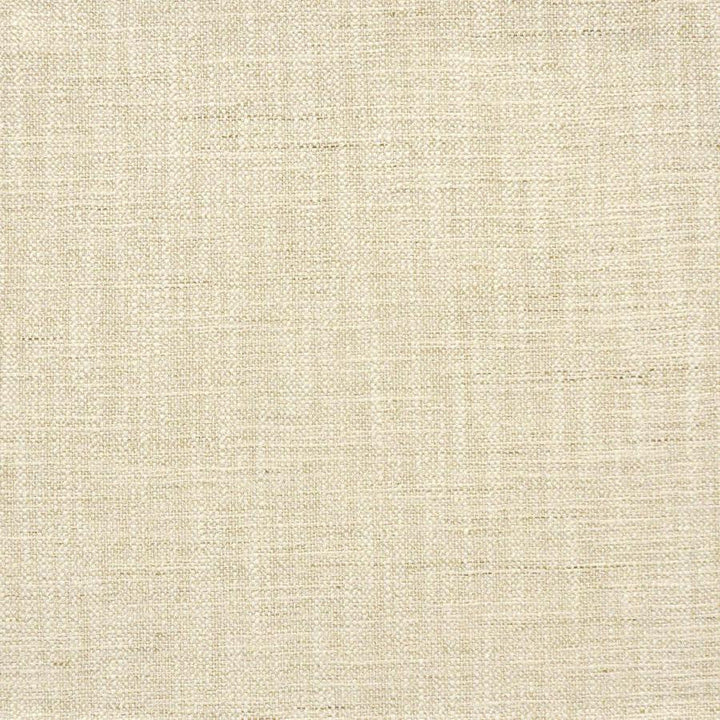 Indus # 226 Papyrus by Maxwell Designer Fabric Color Theory-Vol.Vi Alabaster 100% POLYESTER INDIA 55.5" - Swanky Fabrics -