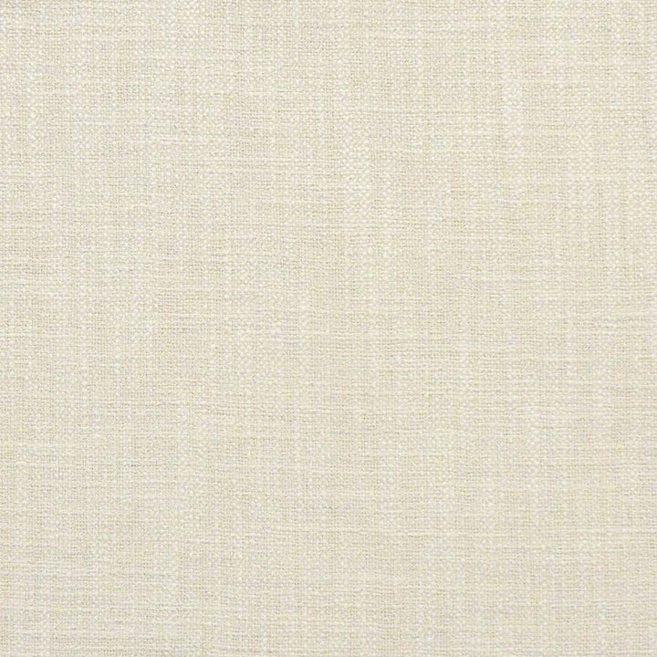 Indus # 230 Angora by Maxwell Fabric Color Theory-Vol.Vi Alabaster 100% POLYESTER INDIA 55.5" - Fabric Carolina -