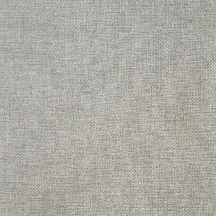 Illusion # 202 Sheer by Maxwell Fabric Easy Rider V 100% PVC TAIWAN 54" - Fabric Carolina -