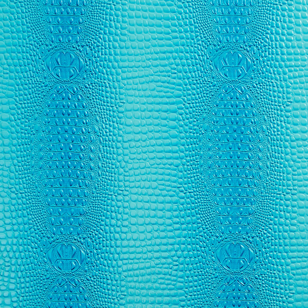 I9600-17 by Charlotte Fabric Online Exclusives 34oz. 100% Virgin Vinyl Asia Exceeds 100,000 Wyzenbeek Rubs (heavy duty) Horizontal: 13" x Vertical: 14.5" 54 Inches - Fabric Carolina -