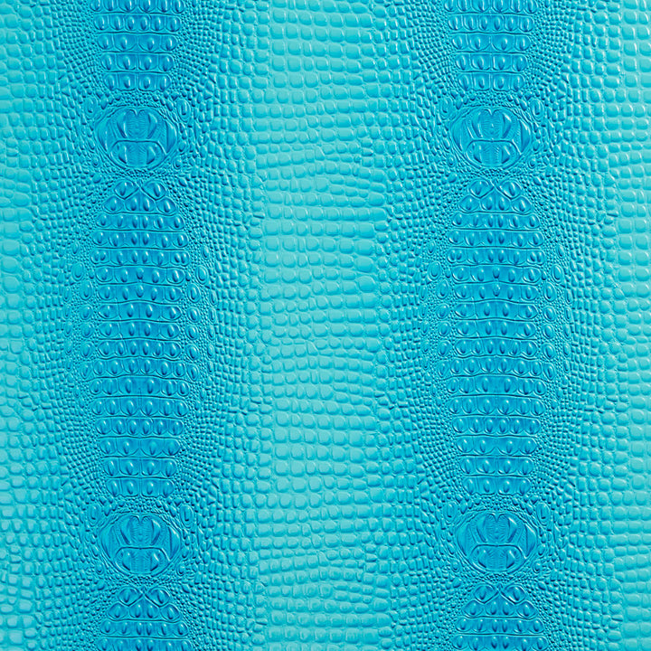 I9600-17 by Charlotte Fabric Online Exclusives 34oz. 100% Virgin Vinyl Asia Exceeds 100,000 Wyzenbeek Rubs (heavy duty) Horizontal: 13" x Vertical: 14.5" 54 Inches - Fabric Carolina -