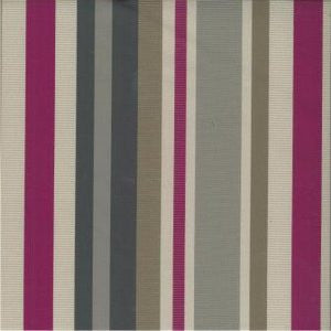 Image Treasure by Norbar Fabric