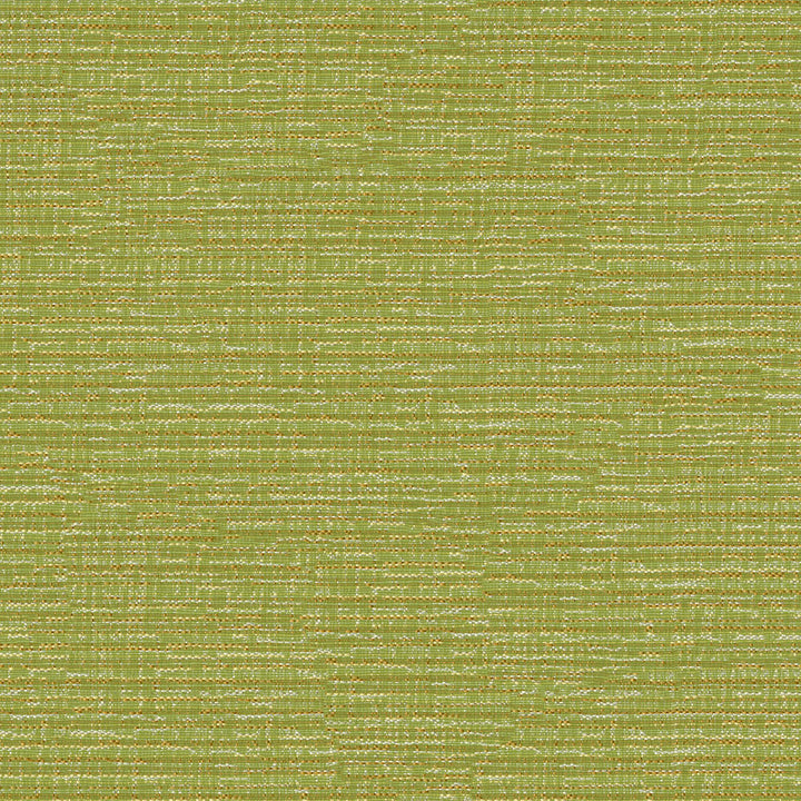 Imagine 205 Sprig by Crypton Fabric 54% Polyester, 30% Recycled Post Industrial Polyester, 16% Recycled Post Consumer Polyester US 50,000 Double Rubs (Wyzenbeek) </p><p>Repeat: Horizontal: 2.6" (6.6 cm) Up the Roll and Vertical: 1.9" (4.9 cm) Across the Roll 55" (140 cm) - Fabric Carolina -