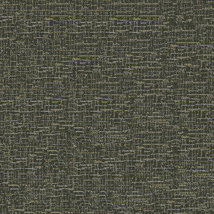 Imagine 6009 Chinchilla by Crypton Fabric