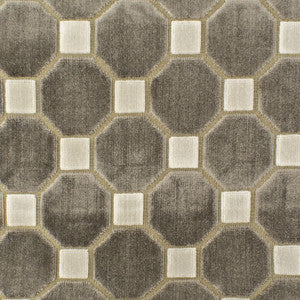 Immune 1 Twig by Stout Fabric