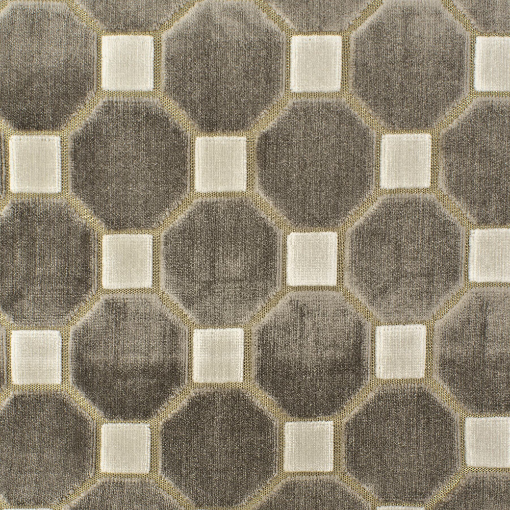 Immune 1 Twig by Stout Fabric RIGHT ON TREND CUT VELVETS 63%SVI 37%POL INDIA WYZENBEEK 12 000 DOUBLE RUB WEAR TEST (MEDIUM DUTY) </p><p>Repeat: 3.25 54 in - Fabric Carolina -