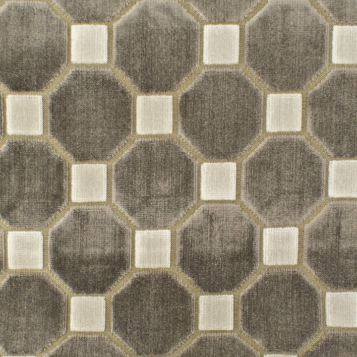 Immune 1 Twig by Stout Fabric RIGHT ON TREND CUT VELVETS 63%SVI 37%POL INDIA WYZENBEEK 12 000 DOUBLE RUB WEAR TEST (MEDIUM DUTY) Horizontal: 3.25 and Vertical: 3.25 54 in - Fabric Carolina -