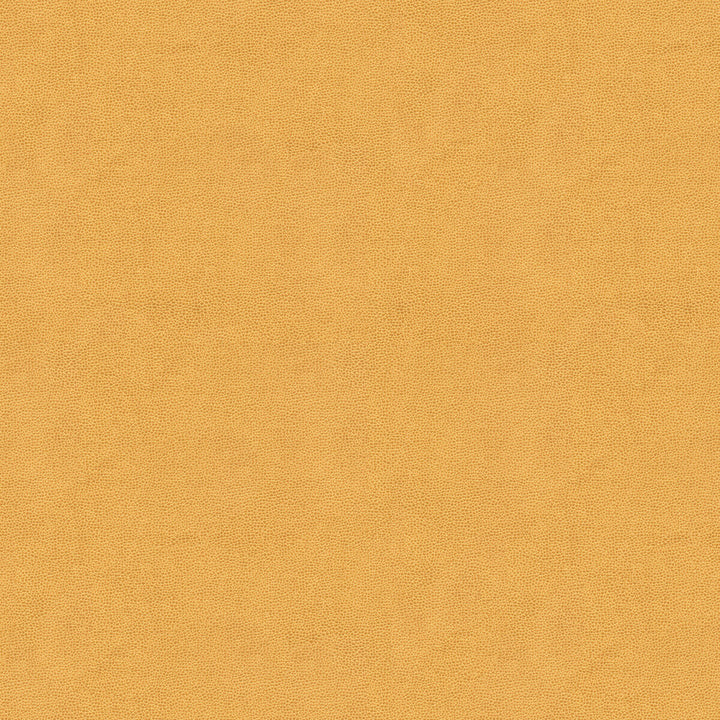 Impact Sand by Kravet Couture Fabric NYLON - 100% United States HEAVY Horizontal: 0 and Vertical: 0 54 - Fabric Carolina -