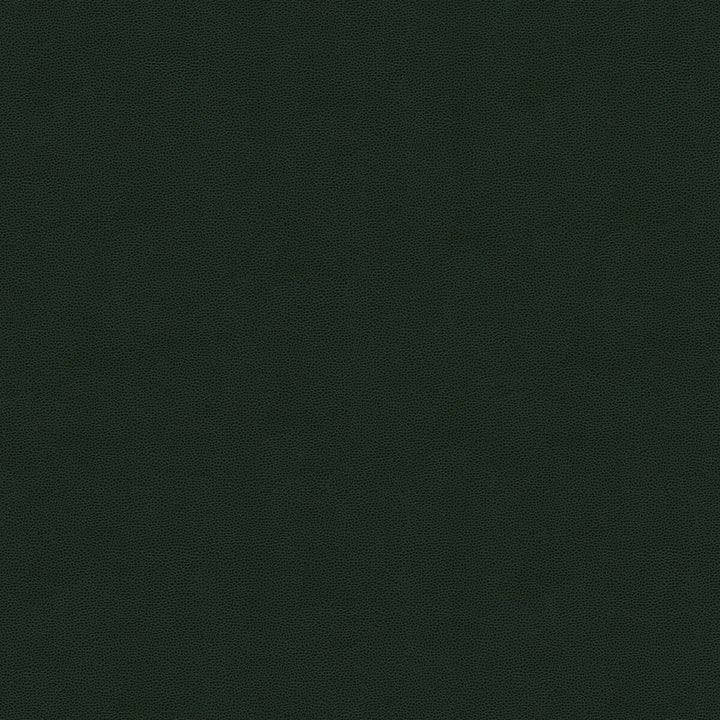 Impact Forest by Kravet Couture Fabric NYLON - 100% United States HEAVY Horizontal: 0 and Vertical: 0 54 - Fabric Carolina -