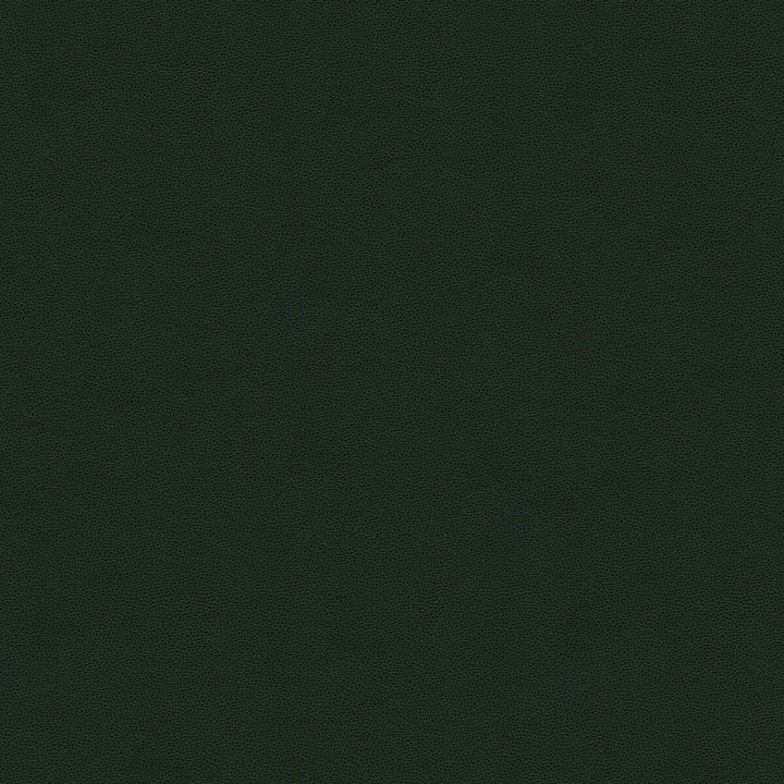 Impact Forest by Kravet Couture Designer Fabric NYLON - 100% United States HEAVY Horizontal: 0 and Vertical: 0 54 - Swanky Fabrics -