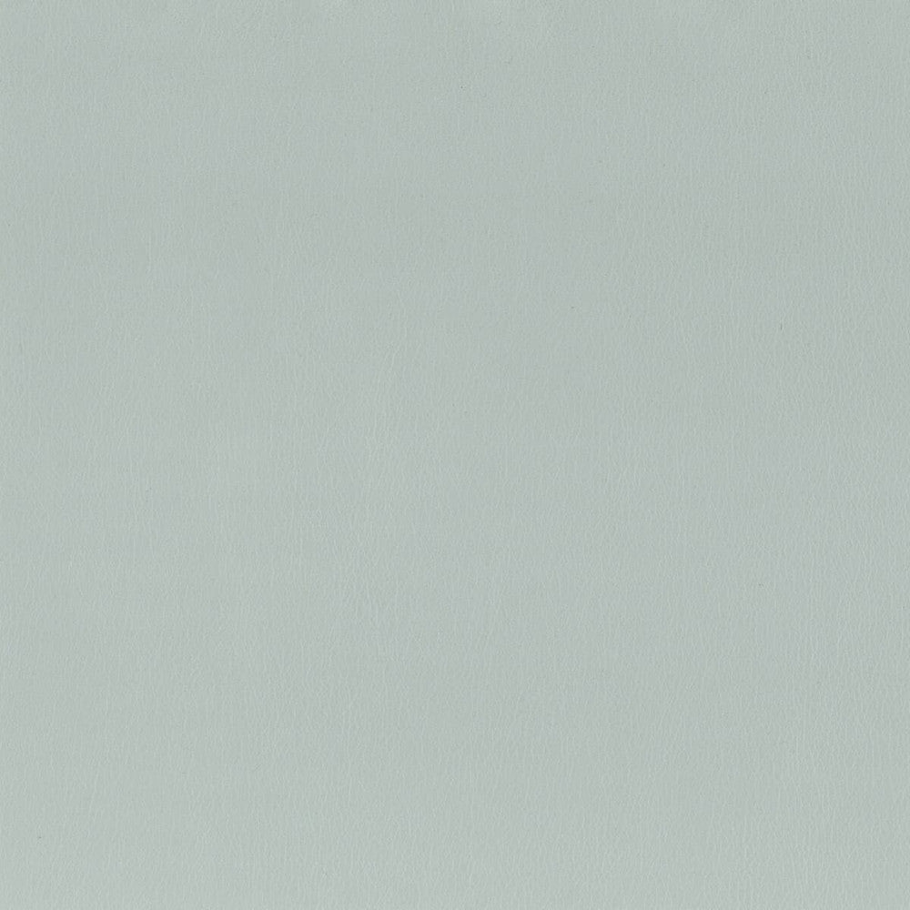Independence 12 Spray by Stout Fabric ULTIMATE LEATHER LOOKS 100%POU 8%OTH CHINA FLAME RETARDANT-CA BULLETIN 117-SECTION E FLAME RETARDANT-U.F.A.C. CLASS 1 FLAME RETARDANT-N.F.P.A. 260A CLASS 1 WYZENBEEK 200 000 DOUBLE RUB WEAR TEST(EXTREMELY HEAVY DUTY) PERFORMANCE RATED FABRIC Horizontal: 0 and Vertical: 0 54 in - Fabric Carolina -