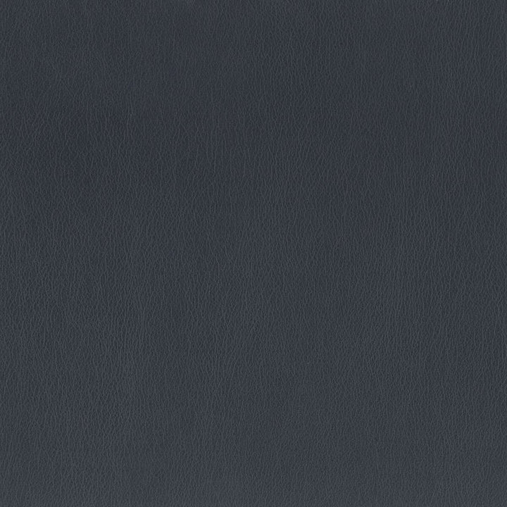 Independence 13 Navy by Stout Fabric Ultimate Leather Looks 100% Polyurethane 8% Other CHINA FLAME RETARDANT-CA BULLETIN 117-SECTION E FLAME RETARDANT-U.F.A.C. CLASS 1 (OR A) FLAME RETARDANT-N.F.P.A. 260A CLASS 1 WYZENBEEK 200 000 DOUBLE RUB WEAR TEST(EXTREMELY HEAVY DUTY) Horizontal: 0 and Vertical: 0 54 in - Fabric Carolina -