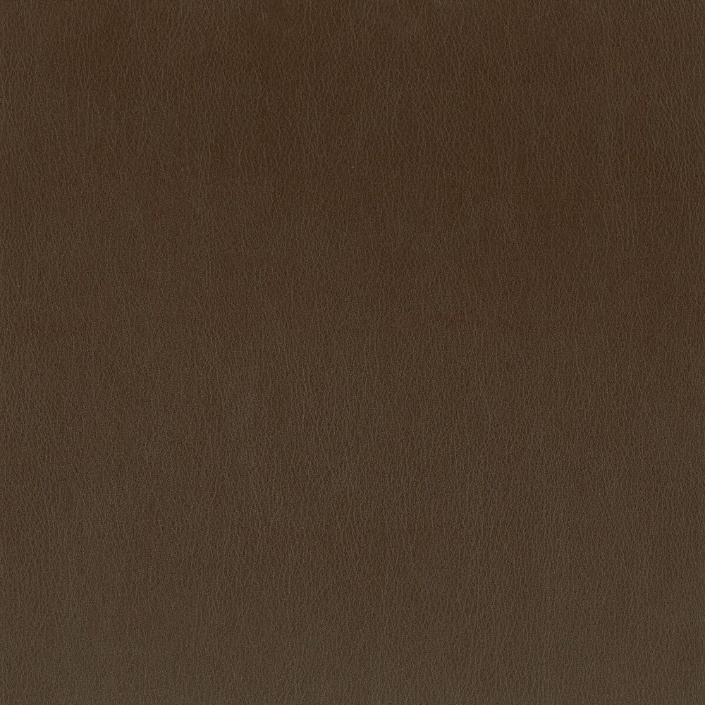 Independence 2 Chocolate by Stout Fabric ULTIMATE LEATHER LOOKS 100%POU 8%OTH CHINA FLAME RETARDANT-CA BULLETIN 117-SECTION E FLAME RETARDANT-U.F.A.C. CLASS 1 FLAME RETARDANT-N.F.P.A. 260A CLASS 1 WYZENBEEK 200 000 DOUBLE RUB WEAR TEST(EXTREMELY HEAVY DUTY) PERFORMANCE RATED FABRIC Horizontal: 0 and Vertical: 0 54 in - Fabric Carolina -