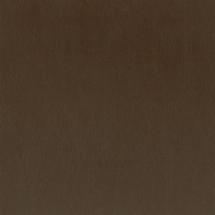 Independence 2 Chocolate by Stout Fabric ULTIMATE LEATHER LOOKS 100%POU 8%OTH CHINA FLAME RETARDANT-CA BULLETIN 117-SECTION E FLAME RETARDANT-U.F.A.C. CLASS 1 FLAME RETARDANT-N.F.P.A. 260A CLASS 1 WYZENBEEK 200 000 DOUBLE RUB WEAR TEST(EXTREMELY HEAVY DUTY) </p><p>Repeat: 0 54 in - Fabric Carolina -