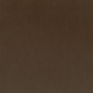 Independence 2 Chocolate by Stout Fabric