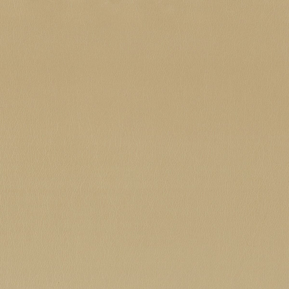 Independence 3 Chamois by Stout Fabric ULTIMATE LEATHER LOOKS 100%POU 8%OTH CHINA FLAME RETARDANT-CA BULLETIN 117-SECTION E FLAME RETARDANT-U.F.A.C. CLASS 1 FLAME RETARDANT-N.F.P.A. 260A CLASS 1 WYZENBEEK 200 000 DOUBLE RUB WEAR TEST(EXTREMELY HEAVY DUTY) PERFORMANCE RATED FABRIC Horizontal: 0 and Vertical: 0 54 in - Fabric Carolina -