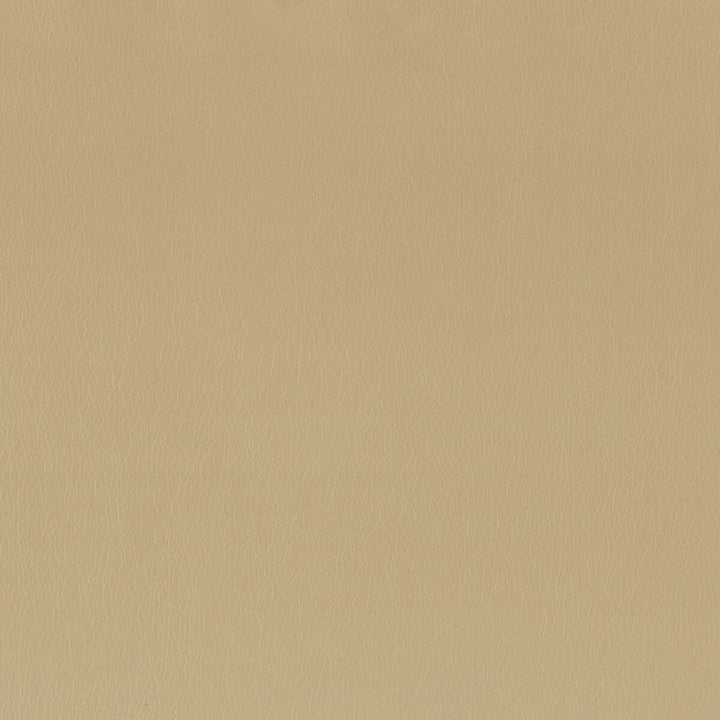 Independence 3 Chamois by Stout Fabric ULTIMATE LEATHER LOOKS 100%POU 8%OTH CHINA FLAME RETARDANT-CA BULLETIN 117-SECTION E FLAME RETARDANT-U.F.A.C. CLASS 1 FLAME RETARDANT-N.F.P.A. 260A CLASS 1 WYZENBEEK 200 000 DOUBLE RUB WEAR TEST(EXTREMELY HEAVY DUTY) </p><p>Repeat: 0 54 in - Fabric Carolina -