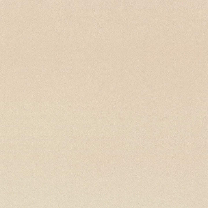 Independence 6 Bisque by Stout Fabric ULTIMATE LEATHER LOOKS 100%POU 8%OTH CHINA FLAME RETARDANT-CA BULLETIN 117-SECTION E FLAME RETARDANT-U.F.A.C. CLASS 1 FLAME RETARDANT-N.F.P.A. 260A CLASS 1 WYZENBEEK 200 000 DOUBLE RUB WEAR TEST(EXTREMELY HEAVY DUTY) PERFORMANCE RATED FABRIC Horizontal: 0 and Vertical: 0 54 in - Fabric Carolina -
