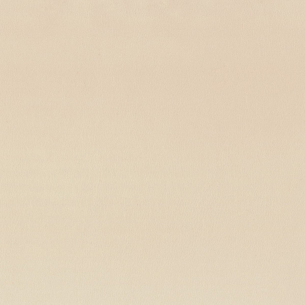 Independence 6 Bisque by Stout Fabric ULTIMATE LEATHER LOOKS 100%POU 8%OTH CHINA FLAME RETARDANT-CA BULLETIN 117-SECTION E FLAME RETARDANT-U.F.A.C. CLASS 1 FLAME RETARDANT-N.F.P.A. 260A CLASS 1 WYZENBEEK 200 000 DOUBLE RUB WEAR TEST(EXTREMELY HEAVY DUTY) PERFORMANCE RATED FABRIC Horizontal: 0 and Vertical: 0 54 in - Fabric Carolina -