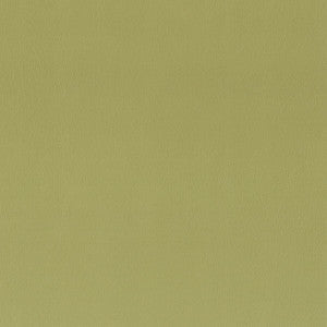 Independence 9 Apple by Stout Fabric