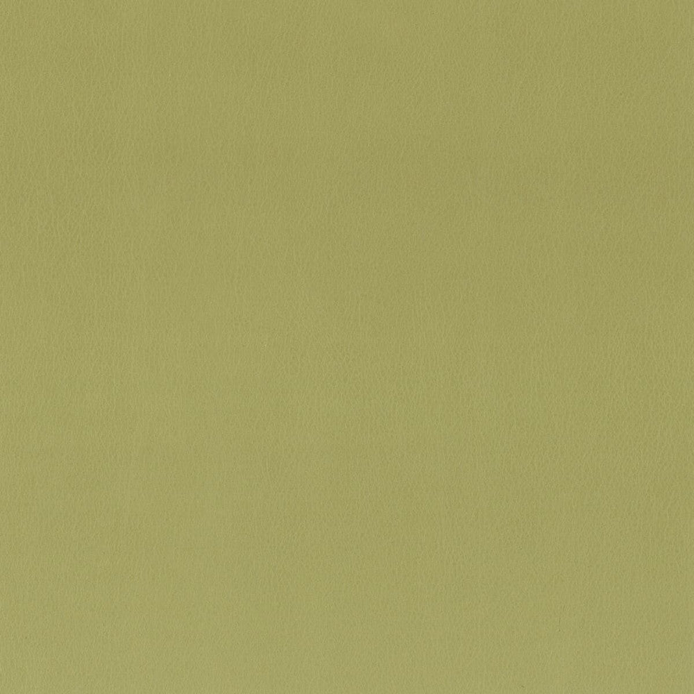 Independence 9 Apple by Stout Fabric ULTIMATE LEATHER LOOKS 100%POU 8%OTH CHINA FLAME RETARDANT-CA BULLETIN 117-SECTION E FLAME RETARDANT-U.F.A.C. CLASS 1 FLAME RETARDANT-N.F.P.A. 260A CLASS 1 WYZENBEEK 200 000 DOUBLE RUB WEAR TEST(EXTREMELY HEAVY DUTY) PERFORMANCE RATED FABRIC Horizontal: 0 and Vertical: 0 54 in - Fabric Carolina -