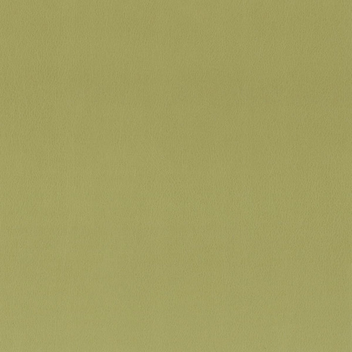 Independence 9 Apple by Stout Fabric Stout Fabric Independence 9 AppleFabric ULTIMATE LEATHER LOOKS CHINA </p><p>Repeat: H: 0.000, V: 0.000 54 in - Fabric Carolina -