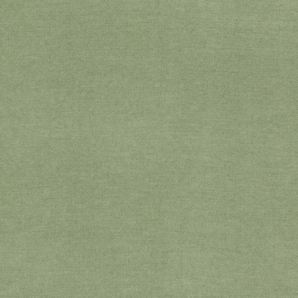 Inevitable 1 Celadon by Stout Fabric Stout Fabric Inevitable 1 CeladonFabric Comfortable Living Sage/Moss 100%Pol China </p><p>Repeat: H: 0, V: 3.75 56 in - Fabric Carolina -