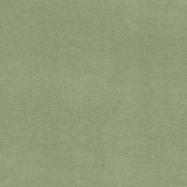 Inevitable 1 Celadon by Stout Fabric Stout Fabric Inevitable 1 CeladonFabric Comfortable Living Sage/Moss 100%Pol China </p><p>Repeat: H: 0, V: 3.75 56 in - Fabric Carolina -
