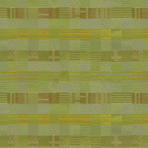 Influence 205 Sprig by Crypton Fabric