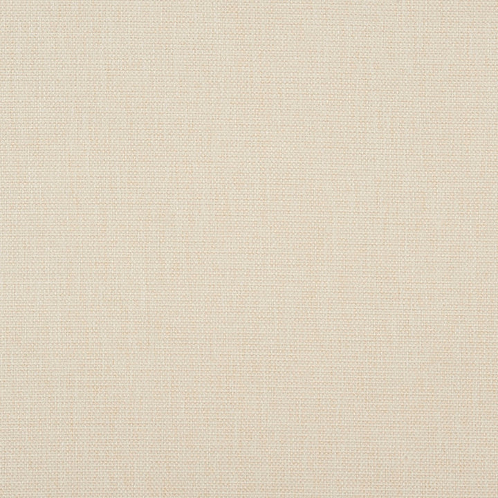 Ingersoll 92J7031 by JF Crypton Designer Fabric Crypton Binder 100% Polyester China 50000 Horizontal: and Vertical: 54 - Swanky Fabrics -
