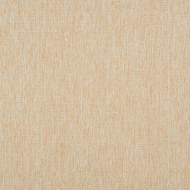 Ingersoll 93J7031 by JF Crypton Designer Fabric Crypton Binder 100% Polyester China 50000 Horizontal: and Vertical: 54 - Swanky Fabrics -