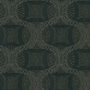 Ingrain 94 Blackbird by Crypton Fabric