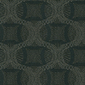 Ingrain 94 Blackbird by Crypton Fabric