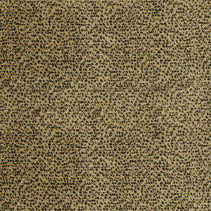 Intent 54 Cheetah by ABBEYSHEA Fabric
