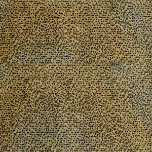 Intent 54 Cheetah by ABBEYSHEA Fabric