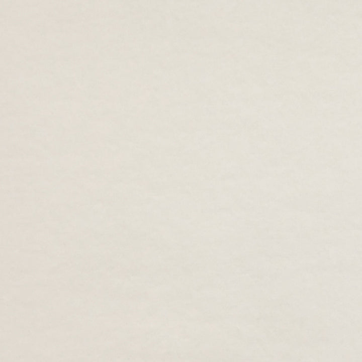 Interline 90J4471 by JF Fabric Lining Options Book 100% Cotton United States Horizontal: and Vertical: 54 - Fabric Carolina -
