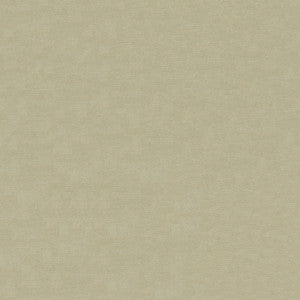 Pique 601 Oyster by ABBEYSHEA Fabric